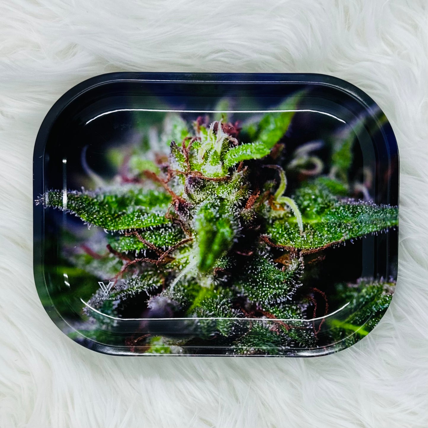 Blue Dream Tray